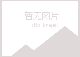 安图县梦琪能源有限公司